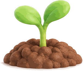 sprout